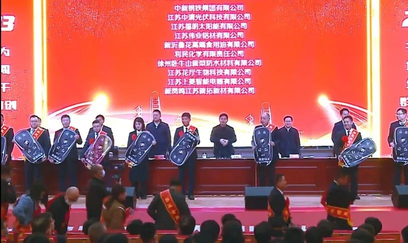 江苏凯时喜获新沂经开区“突出孝顺”“金牌项目”双项声誉